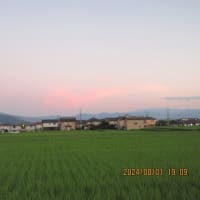 ８月1日（木）快晴の山　　＆パリオリンピック・競歩　＆夕焼けウオーキング