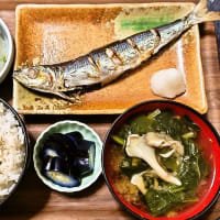 家で朝ごはん（麦ごはんにうるめいわしの塩焼、冷奴、ほうれん草と舞茸のみそ汁、茄子漬）（2025年6月18日）