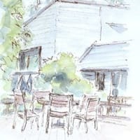 薬草観察と山菜採りツアー（２）