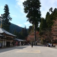 比叡山　紅葉だより