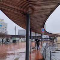 雨の日の平日の牛久駅の東口：木のアーケード