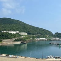 夏の青空