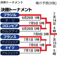 W杯　8強