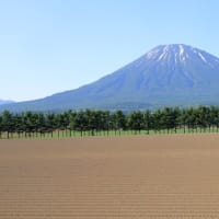 種蒔きを終えて