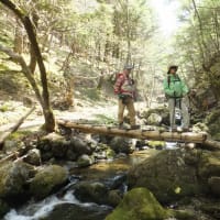 入笠山・黒座岩