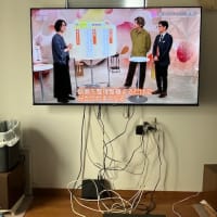 TVを買い替えた；その5、壁に取り付けた