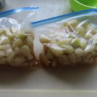 らっきょうの甘酢漬けを作りました(^_^)v