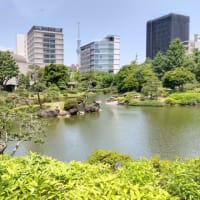 横浜・東京方面への旅　東急1日乗車券　わたらせ渓谷鉄道　天竜浜名湖鉄道