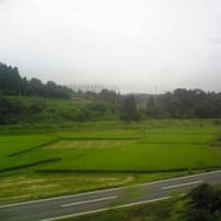 電車は動いてます（汗）　二日目