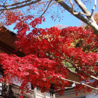 鎌倉の秋
