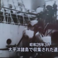 DVD「昭和天皇の時代」【5】を視聴して（2025）・・・人間天皇の出発（敗戦～全国巡幸）