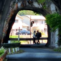 春の旅は無事に終わりましたね
