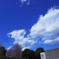 天気は悪いし、寒いし・・・。