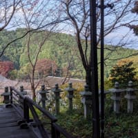 開眼!?壺阪寺訪問