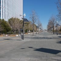 １月のお台場：ウエストプロムナード散策道を通り抜けてダイバーシティ東京前へ　ＰＡＲＴ２