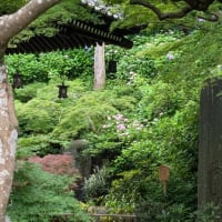 長谷寺　虚子の句碑