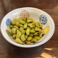 長野へ行ったがトンボ帰り😓