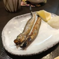 いわしの天ぷらがボリューミィ @ 手打ちそば処 卓（神戸・元町）