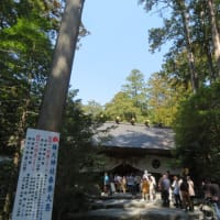 梅見