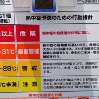 本日のWBGT