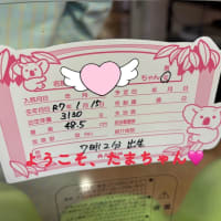 ブログじまい