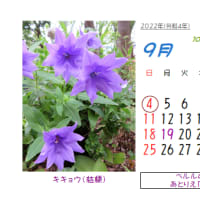 ◎９月の花：2006～2021～まとめ