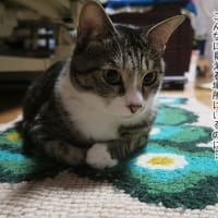 見落としがち