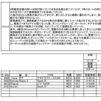 ＭＣＣレース