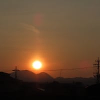二上山の日の出～北大伴　千早川３　２０２５．７