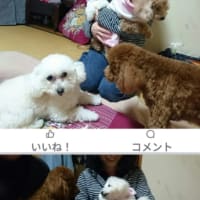 み～つけた