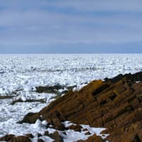 流氷の海 オホーツク（知床半島とその周辺） №４