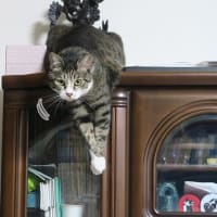 久々に高み