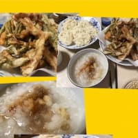 ☆昨日も？釣れませんでしたね？今日かな？？（笑）☆
