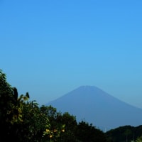 初秋の富士と神社の朝の光