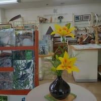 うさっぷギャラリーにお花を飾ってくれました（北海道沙流郡日高町　山日高）
