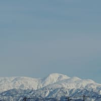 エマージェンシーコール 〜緊急通報指令室〜