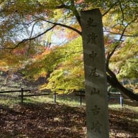 美しい紅葉を求めて 奈良 明日香村を散策