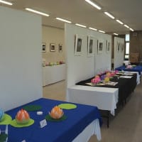 大船FC～紙で作る蓮の花展
