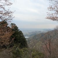 太平山神社と晃石山（栃木市）