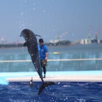 四国水族館Ⅲ