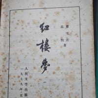 『紅楼夢』第十八回を投稿しました