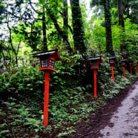 一言だけのお願い-大阪府千早赤阪村：金剛山