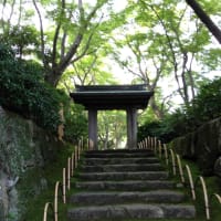 信じるって、、、
