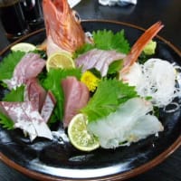 おばさんの料理教室　＊刺身の盛り合わせ😴