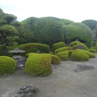 うふふぅ♪なんでかの鹿児島旅行(笑)