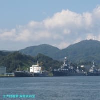 【榛名備防録】スウォーム攻撃(3)ハイブリッド戦の時代-安価な無人機攻撃へは安価な防御手段を構築する必要