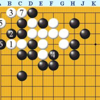 囲碁死活３６３玄玄碁経