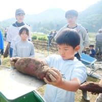 御礼いもフェス2024