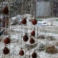 最近の気象は、異常ですね。