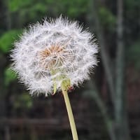 季節が変わるとき